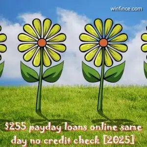 $255 payday loans online same day no credit check